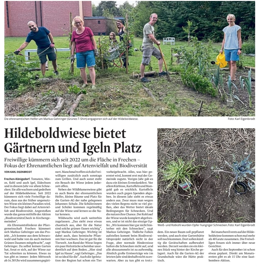 Artikel KStA Hildeboldwiese Frechen-Königsdorf 24-08-24